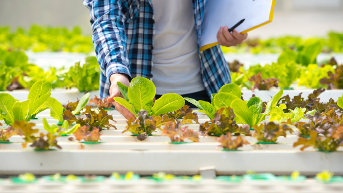 2019 | April 2019 | Business News | In FocusThere Must Be Something in the WaterThe Business of Hydroponics