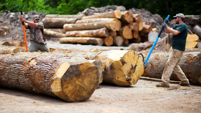 A Vertical Integration Hardwood BusinessYoder Lumber