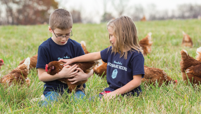 2019 | In Focus | March 2019Innovative Approaches for Ethical EggsEgg Innovations