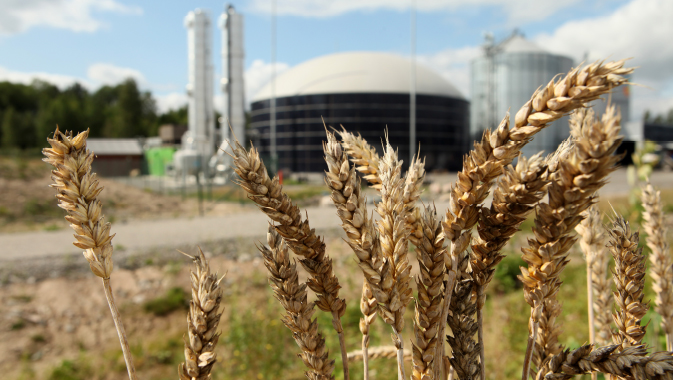 2019 | In Focus | July 2019An Exciting and Sustainable FutureGreenlane Biogas