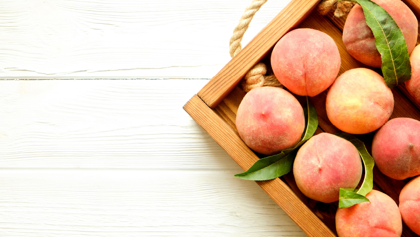 Georgia on Our MindsWhy the Peach State is Ranked Number One for Business