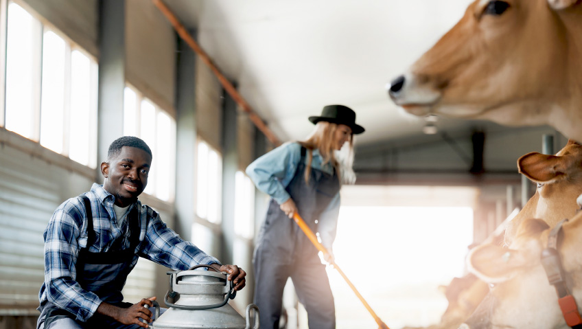 A Place to Call HomeRural Strategies for Talent Attraction and Retention