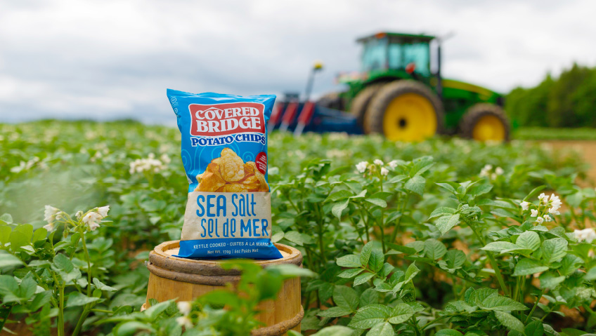 A New Chapter Built on Resilience and InnovationCovered Bridge Potato Chip Company