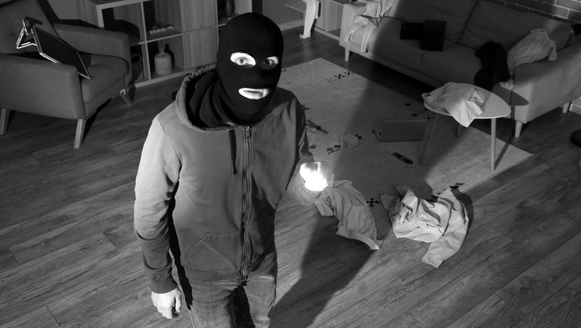 From Watchdogs to Smart BollardsThe Evolution of Home Security